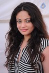 Sneha Ullal New Photos - 42 of 71