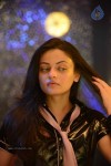 Sneha Ullal New Photos - 3 of 68