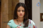 Sneha Ullal New Stills - 13 of 82