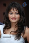 Sneha Ullal Photos - 10 of 24