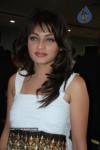 Sneha Ullal Photos - 13 of 24