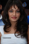 Sneha Ullal Photos - 15 of 24