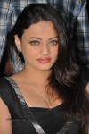 Sneha Ullal Stills  - 44 of 46