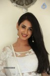 Sonal Chauhan Hot Photos - 57 of 100
