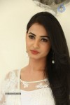 Sonal Chauhan Hot Photos - 60 of 100