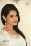 Sonal Chauhan Hot Photos - 66 of 100