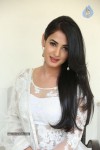 Sonal Chauhan Hot Photos - 70 of 100