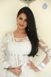 Sonal Chauhan Hot Photos - 75 of 100
