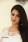 Sonal Chauhan Hot Photos - 87 of 100
