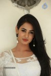 Sonal Chauhan Hot Photos - 99 of 100