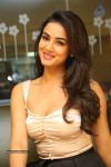 Sonal Chauhan Photos - 63 of 63