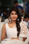 Sonarika New Photos - 80 of 82