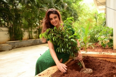 Sony Charista Photos - 1 of 3