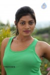 Sowmya Hot Photos - 12 of 44