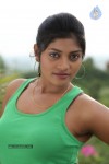 Sowmya Hot Photos - 16 of 44