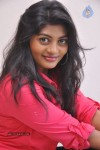Sowmya Latest Pics - 4 of 56
