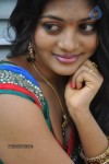 Sowmya New Hot Stills - 53 of 66