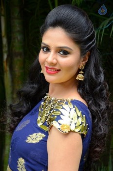 Sreemukhi New Photos - 10 of 61