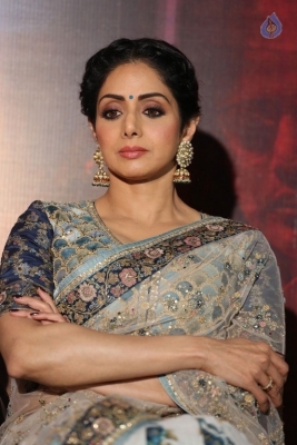 Sridevi Kapoor Photos - 6 of 38