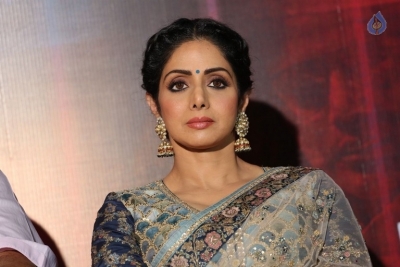 Sridevi Kapoor Photos - 11 of 38