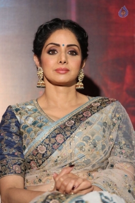 Sridevi Kapoor Photos - 12 of 38