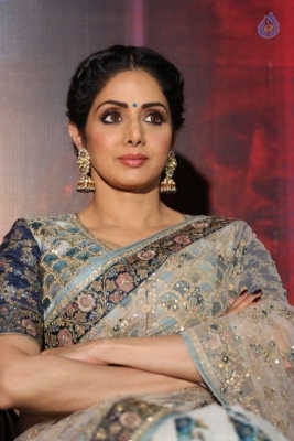 Sridevi Kapoor Photos - 14 of 38