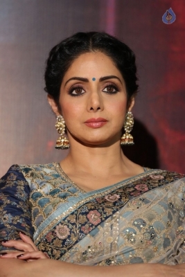 Sridevi Kapoor Photos - 16 of 38