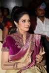 Sridevi Latest Stills - 50 of 71