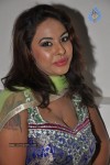 Srilekha Hot Stills - 11 of 27