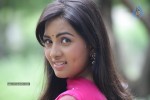 Srushti New Stills - 27 of 54