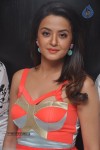 Surveen Chawla Photos - 18 of 69