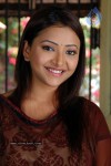 Swetha Basu Prasad Gallery - 1 of 33