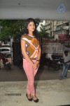 Swetha Pandit New Stills - 46 of 69