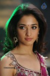 Tamanna High Resolution Stills - 80 of 82