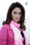 Tamanna Hot Photo Gallery - 1 of 82