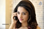 Tamanna Hot Photo Gallery - 9 of 82