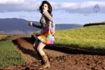 Tamanna Hot Photo Gallery - 13 of 82