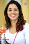 Tamanna Hot Photo Gallery - 17 of 82