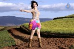 Tamanna Hot Photo Gallery - 18 of 82