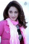 Tamanna Hot Photo Gallery - 70 of 82