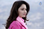 Tamanna Hot Photo Gallery - 81 of 82