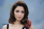 Tamanna Hot Photos - 3 of 151