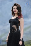 Tamanna Hot Photos - 4 of 151