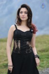 Tamanna Hot Photos - 44 of 151