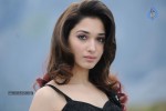 Tamanna Hot Photos - 46 of 151