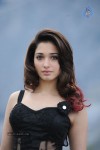 Tamanna Hot Photos - 59 of 151