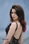 Tamanna Hot Photos - 62 of 151