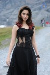 Tamanna Hot Photos - 72 of 151