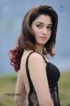 Tamanna Hot Photos - 80 of 151