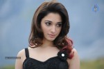 Tamanna Hot Photos - 82 of 151